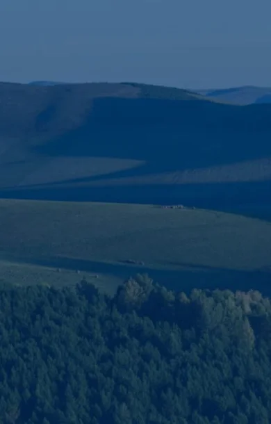 Zastosowanie - Rolnictwo