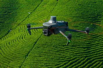 Analiza kondycji roślin