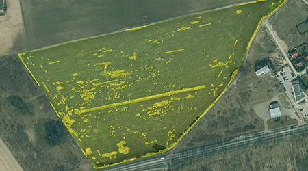 Mavic 3 Multispectral – dron do szacowania szkód łowieckich i tworzenia ortofotomap