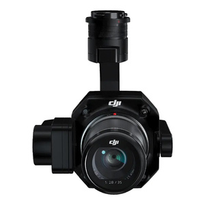DJI Zenmuse P1